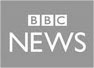Resume professional bbc news | resumecoverscv.com